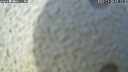 2025-05-09