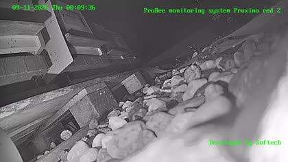 2025-09-10