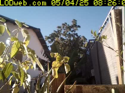2025-05-04