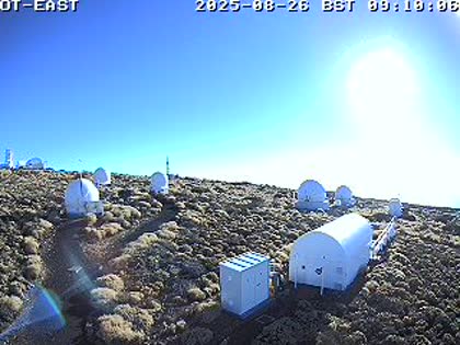 2025-08-26