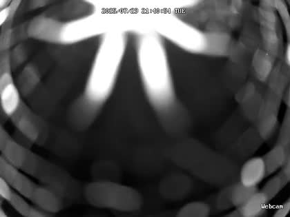 2025-07-30