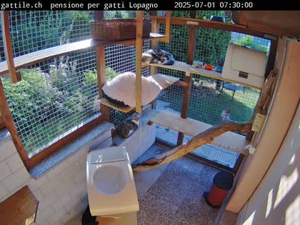 2025-07-01