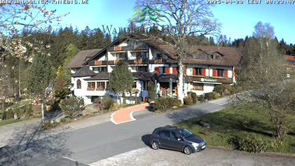 2025-04-29