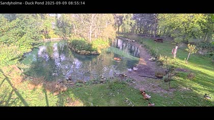 2025-09-09