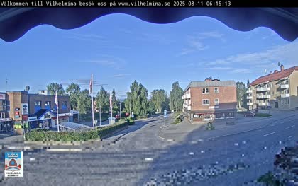 2025-08-11