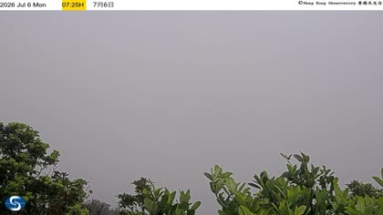 2026-07-06