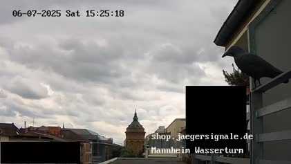 2025-06-08