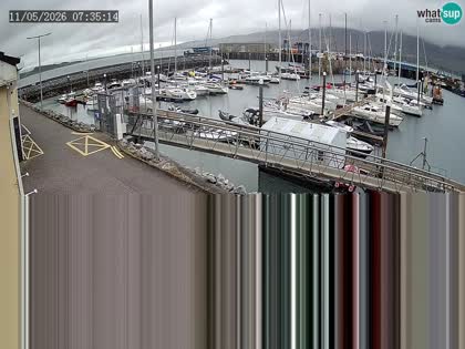 2026-05-11