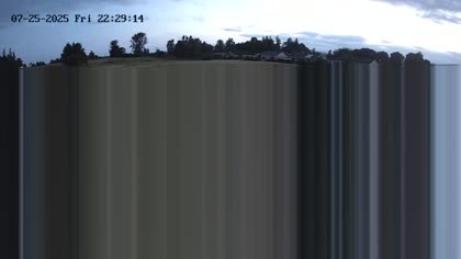 2025-07-26