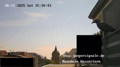 2025-06-22