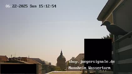 2025-06-23