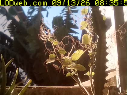 2026-09-13