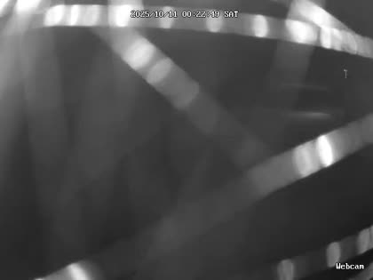 2025-10-11