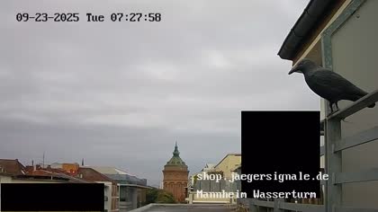 2025-09-23