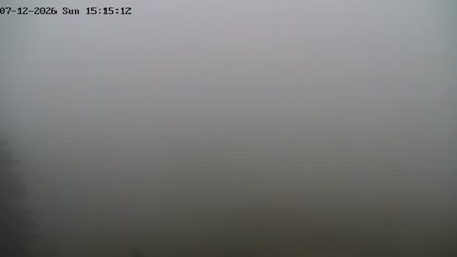 2026-07-12
