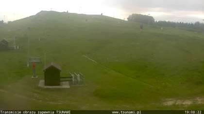 2025-08-01