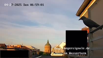 2025-04-27