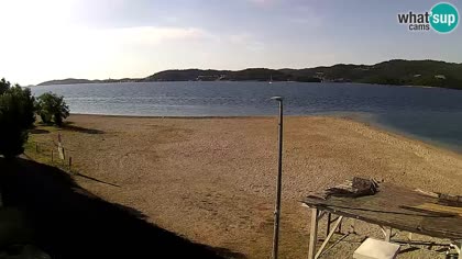 2026-05-21