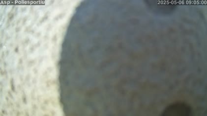 2025-05-06