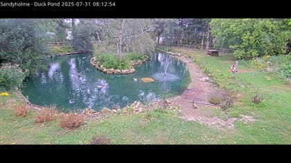 2025-07-31