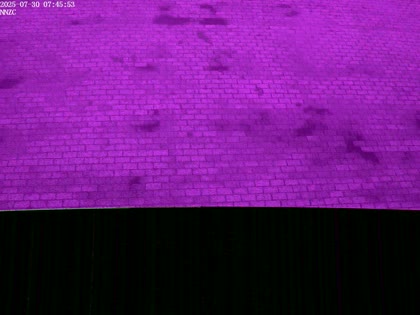 2025-07-30