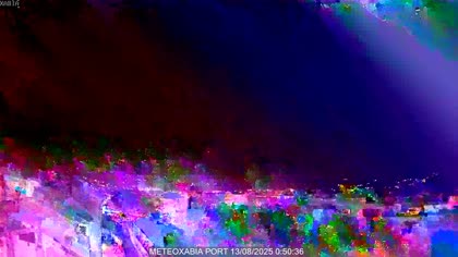 2025-08-13