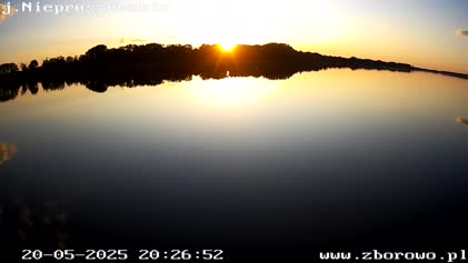 2025-05-20