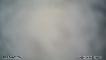 2025-10-10