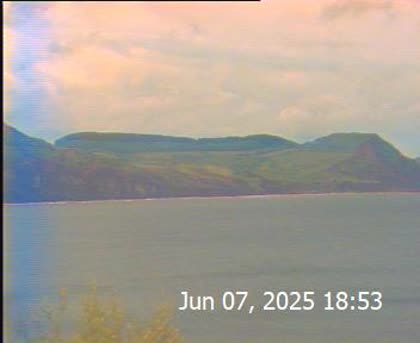2025-06-08