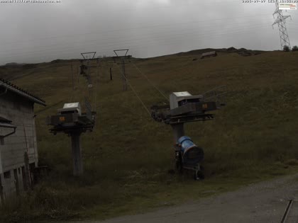 2025-07-08