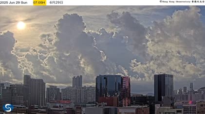 2025-06-29