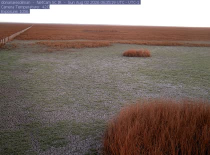 2026-08-02