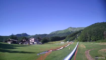 2026-06-20