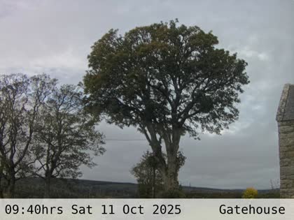 2025-10-11
