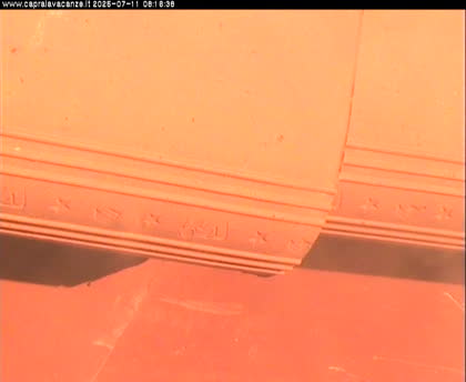 2025-07-11