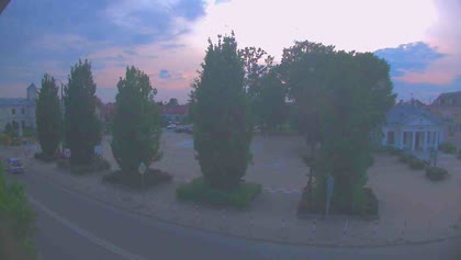 2025-05-31