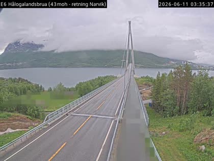 2026-06-11