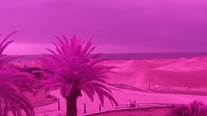 2025-07-30