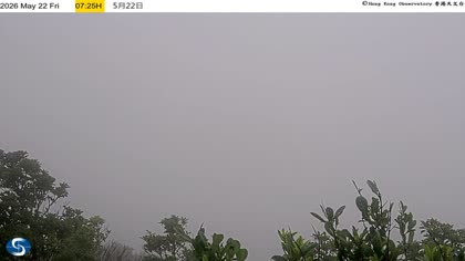 2026-05-22