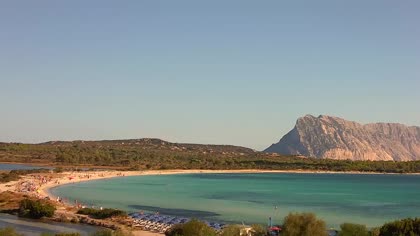 2026-08-22