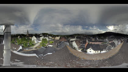 2026-06-11