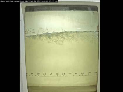 2025-09-11