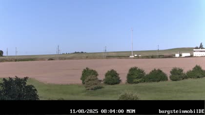 2025-08-11