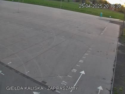 2025-04-25