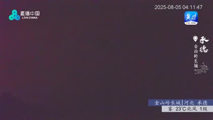 2025-08-06