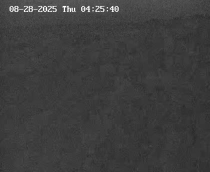 2025-08-28