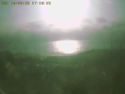 2025-06-14