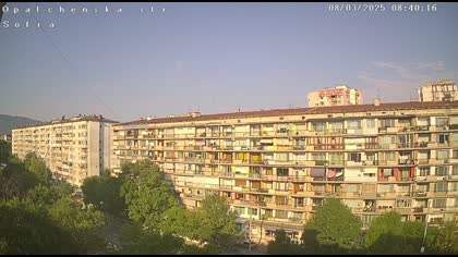 2025-08-03