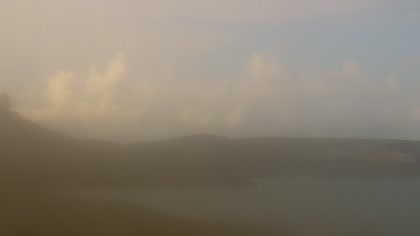 2026-05-19