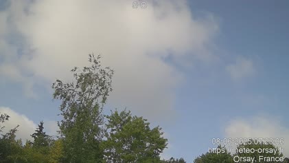 2025-06-08